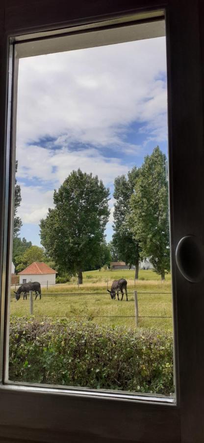 Chambres D'Hotes B&B Cote D'Opale La Fermette Du Lac Ardres Екстериор снимка